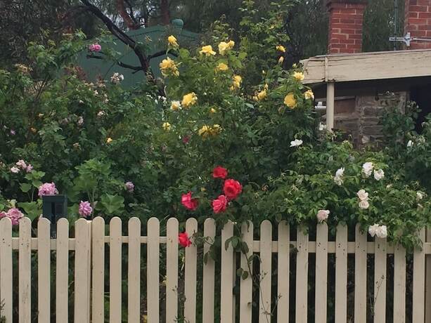 Imagen general del Hotel Blyth Cottage Burra. Foto 2