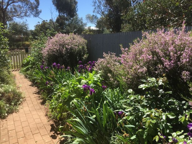 Imagen de los exteriores del Hotel Blyth Cottage Burra. Foto 8