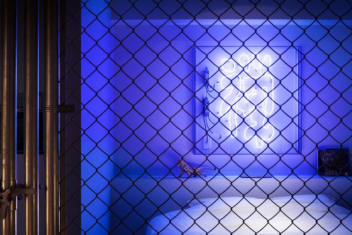 Imagen de la habitación del Hotel Bna Studio Akihabara. Foto 18