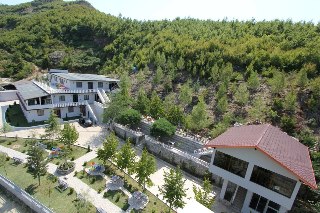 Imagen general del Hotel Boci. Foto 8