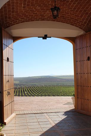 Imagen de los exteriores del Hotel Bodega El Moral. Foto 15