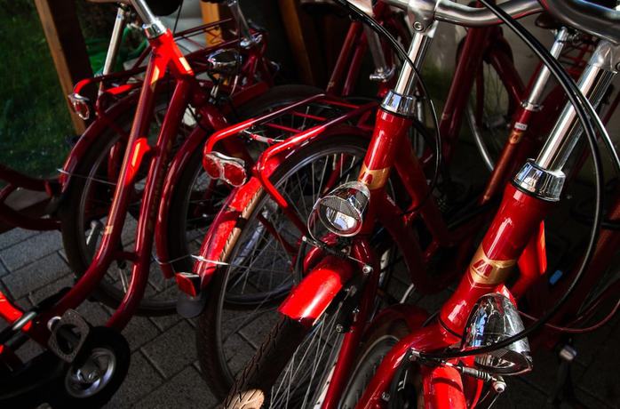 Imagen de los interiores del Hotel Bodensee-hotel Kreuz. Foto 20