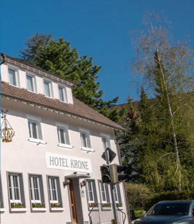 Imagen general del Hotel Bodenseehotel Krone. Foto 3
