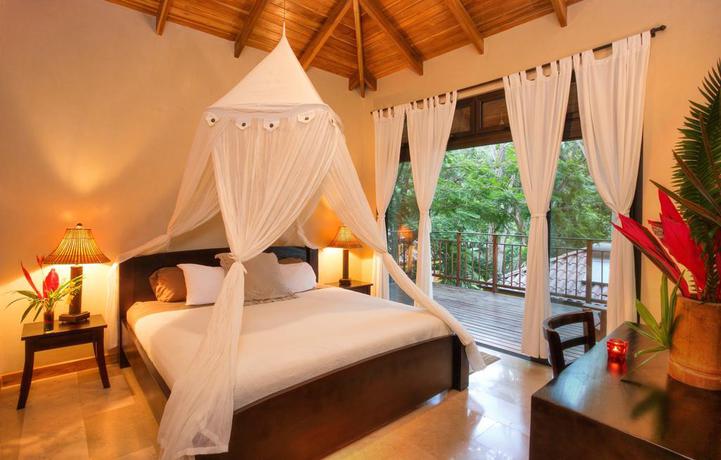 Imagen general del Hotel Bodhi Tree Yoga Resort. Foto 4
