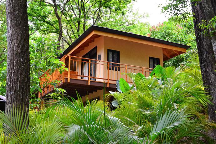 Imagen general del Hotel Bodhi Tree Yoga Resort. Foto 6