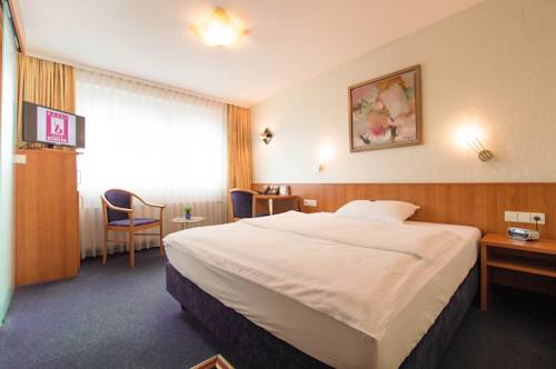 Imagen de la habitación del Hotel Boehler. Foto 8