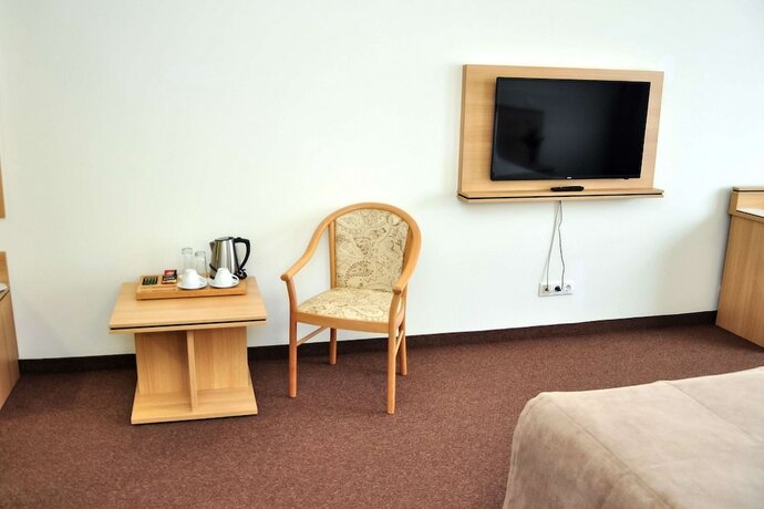 Imagen de la habitación del Hotel Bogorodskoe. Foto 19