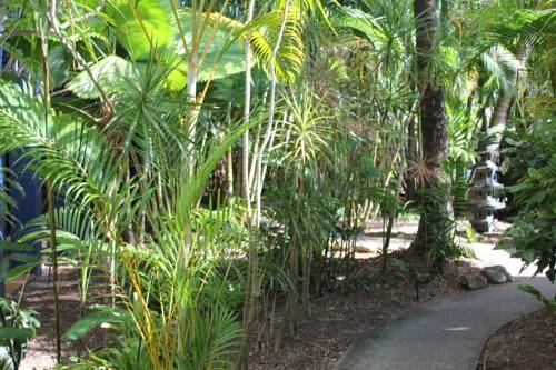 Imagen general del Hotel Bohemia Resort Cairns. Foto 18