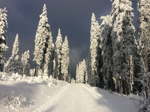 Imagen general del Hotel Bohemia, Špičák. Foto 5