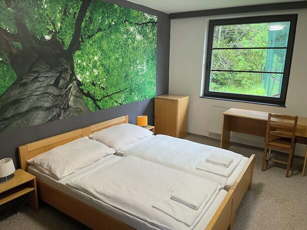 Imagen de la habitación del Hotel Bohemia, Špičák. Foto 18