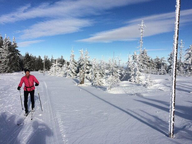 Imagen general del Hotel Bohemia, Špičák. Foto 10