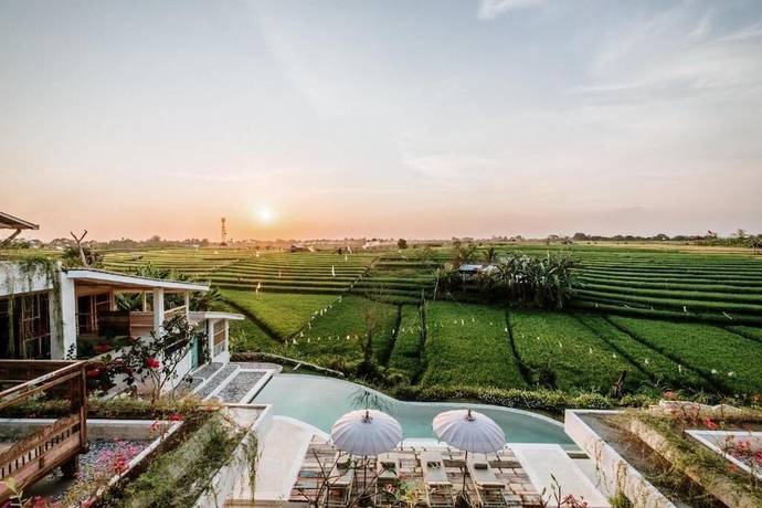 Imagen general del Hotel Boho Canggu. Foto 1