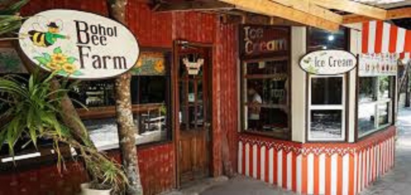 Imagen general del Hotel Bohol Bee Farm Resort. Foto 15