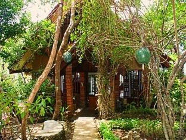 Imagen de los interiores del Hotel Bohol Bee Farm Resort. Foto 19