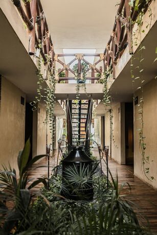 Imagen general del Hotel Bohonito Holbox. Foto 14