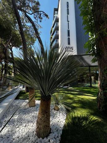 Imagen general del Hotel Bolina Suite & Spa. Foto 13