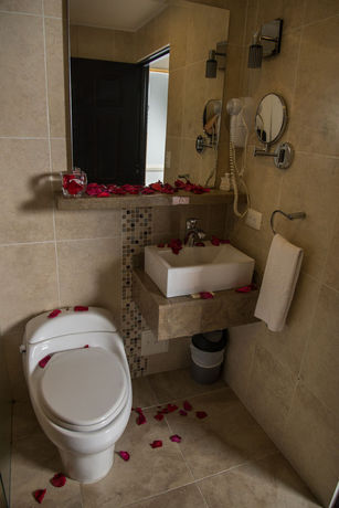 Imagen de los interiores del Hotel Bolivar Plaza. Foto 13