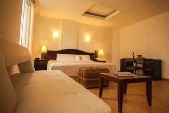 Imagen de los interiores del Hotel Bolivar Plaza. Foto 15