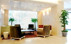 Imagen de los interiores del Hotel Bolly Wood. Foto 4