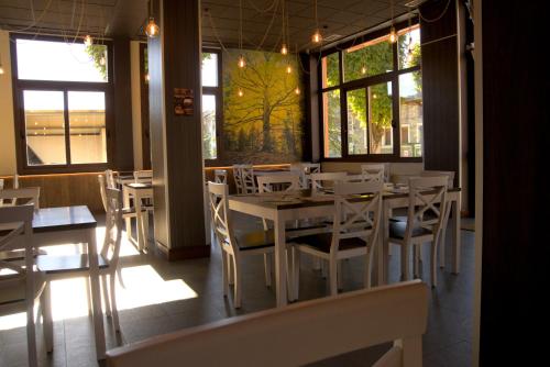 Imagen general del Hotel Boltaña Ordesa. Foto 14