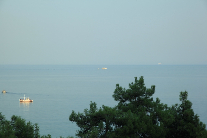 Imagen de la habitación del Hotel Bomo Tosca Beach. Foto 9