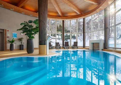 Imagen de la piscina del Hotel Bon Alpina. Foto 10