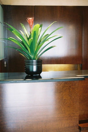 Imagen de los interiores del Hotel Bon Retorn Restaurant. Foto 12