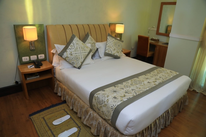 Imagen de la habitación del Hotel Bonanza Addis. Foto 3