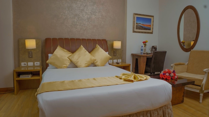 Imagen de la habitación del Hotel Bonanza Addis. Foto 13