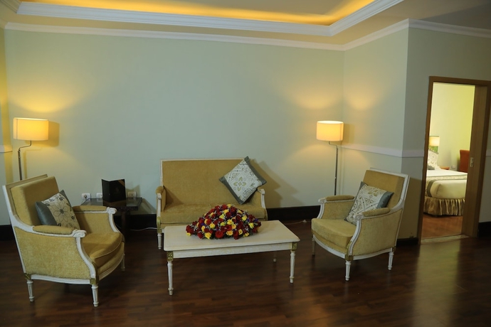 Imagen de la habitación del Hotel Bonanza Addis. Foto 15
