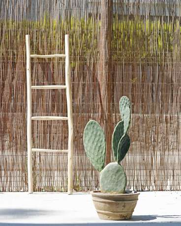 Imagen de la habitación del Hotel Bonavida Apartments. Foto 15