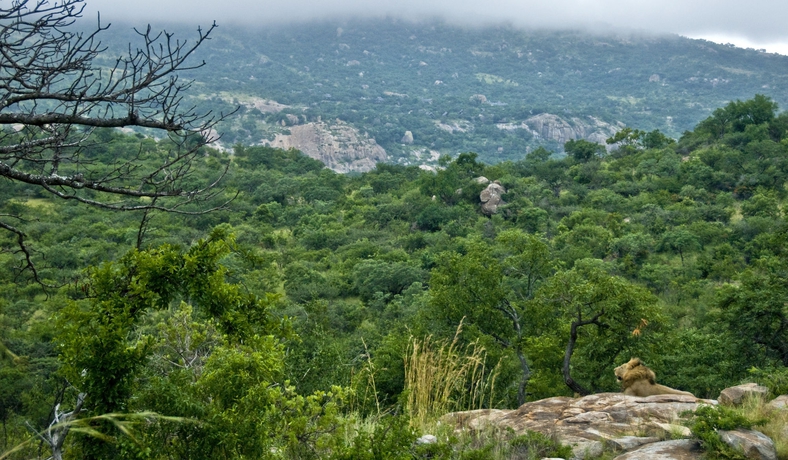 Imagen de los exteriores del Hotel Bongani Mountain Lodge. Foto 8