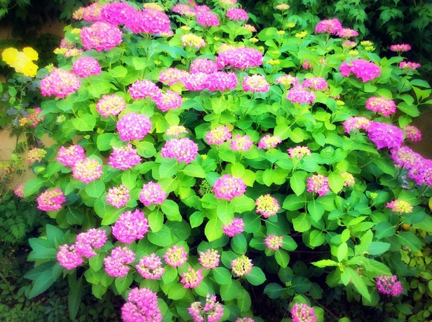 Imagen de los exteriores del Hotel Bonifacio. Foto 4