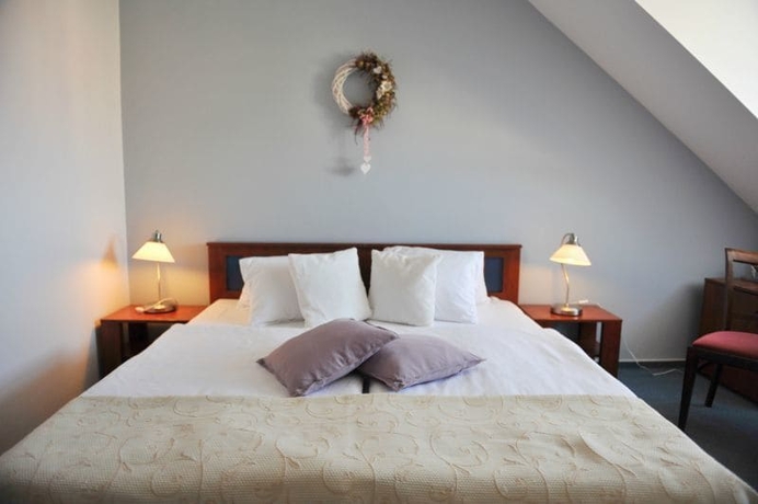 Imagen de la habitación del Hotel Bonsai Mikulov. Foto 3