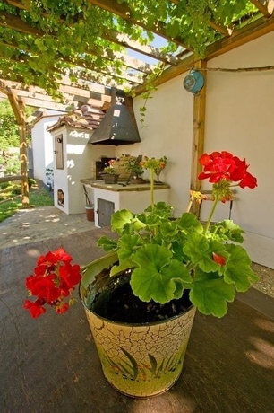 Imagen de los exteriores del Hotel Bonsai Mikulov. Foto 19