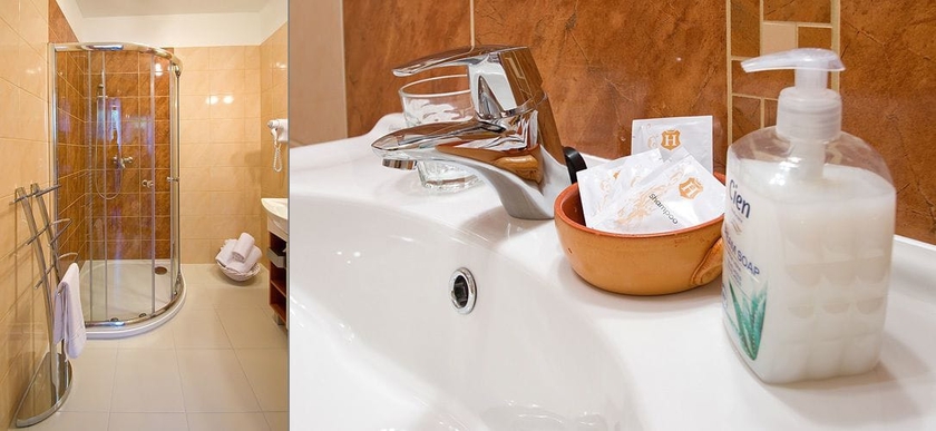 Imagen de la habitación del Hotel Bonsai Mikulov. Foto 9