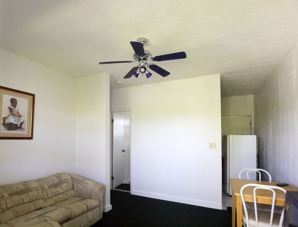 Imagen de los interiores del Hotel Boogie Pond Lodge. Foto 8