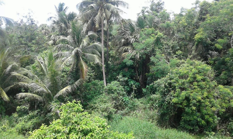 Imagen general del Hotel Boonmee Court 2. Foto 2
