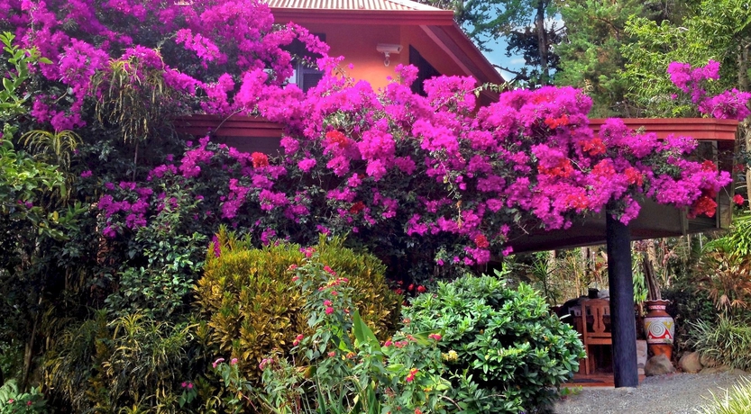 Imagen de los interiores del Hotel Boquete Garden Inn. Foto 16