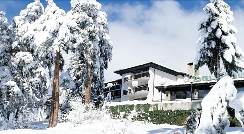 Imagen de la habitación del Hotel Bor, Borovets. Foto 11