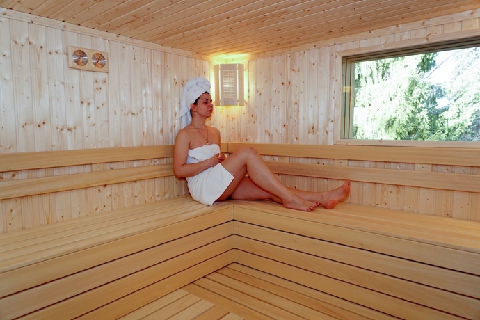 Imagen de la piscina del Hotel Bor, Borovets. Foto 19