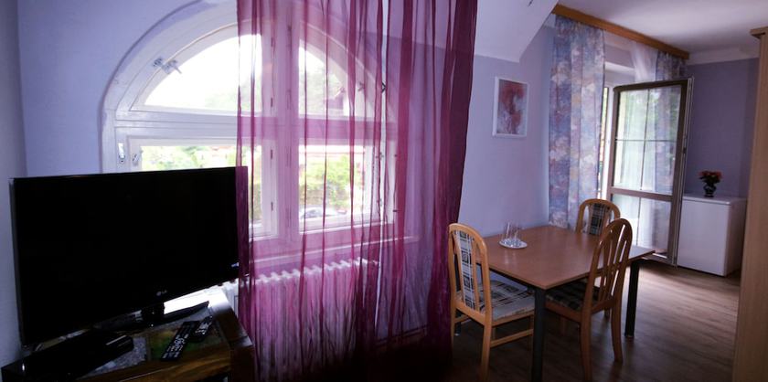 Imagen de la habitación del Hotel Bor, Lhota. Foto 14