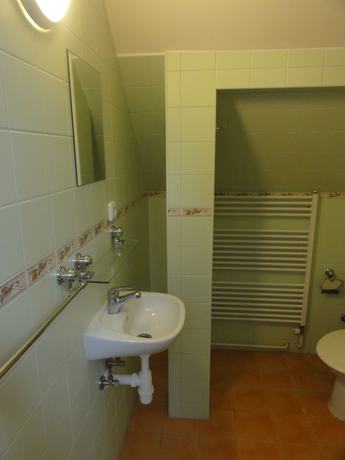 Imagen de la habitación del Hotel Bor, Lhota. Foto 15