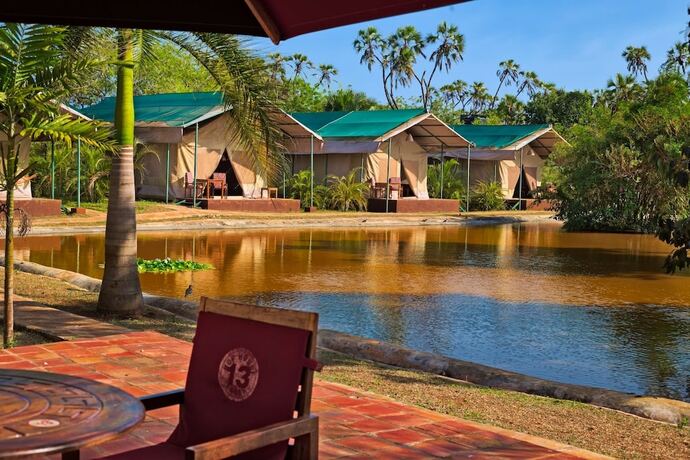 Imagen general del Hotel Borabora Luxury Tented Camp. Foto 11