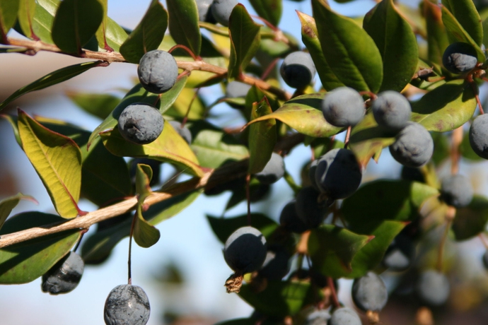 Imagen de los exteriores del Hotel Borgo Di Campagna. Foto 9
