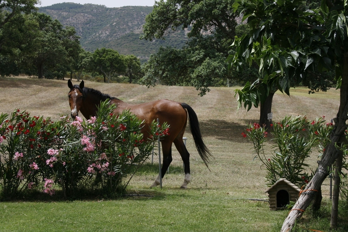 Imagen de los exteriores del Hotel Borgo Di Campagna. Foto 10