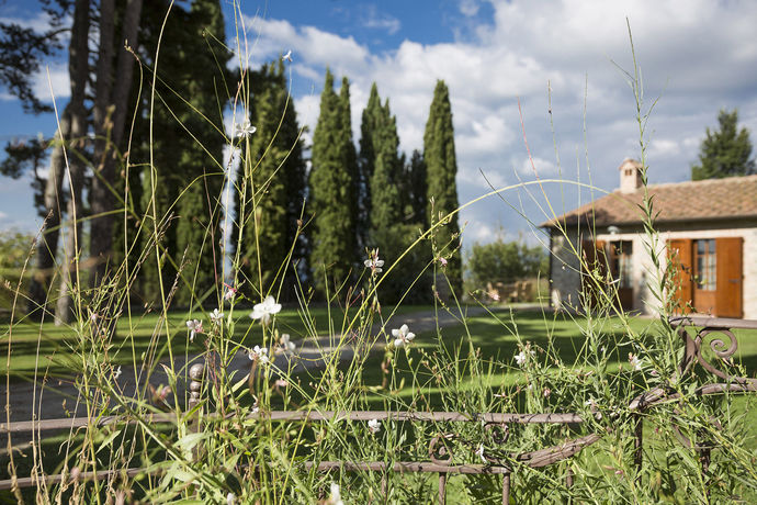Imagen de los exteriores del Hotel Borgo Di Pietrafitta Relais. Foto 16