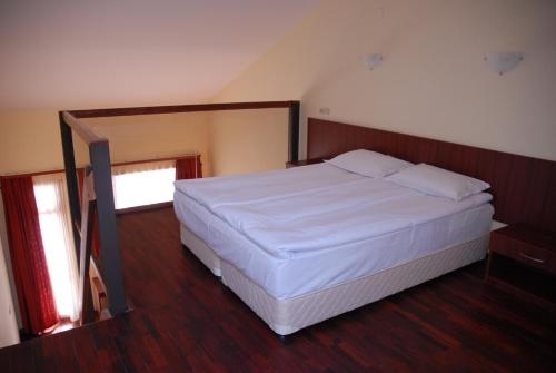 Imagen de la habitación del Hotel Borika. Foto 7
