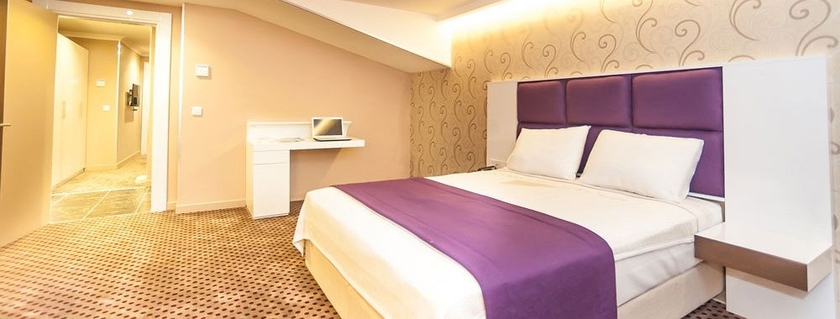 Imagen de la habitación del Hotel Boris. Foto 9