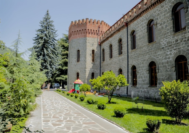 Imagen general del Hotel Borjomi Palace. Foto 1